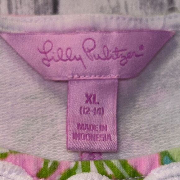 Lilly Pulitzer Little Lilly Classic Shift Dress Pop Up Chimply Chic - Picture 9 of 10